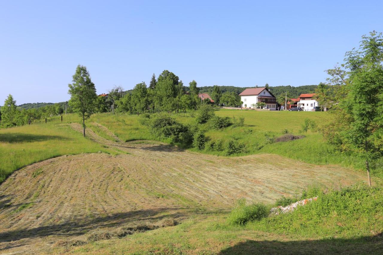 Apartments And Rooms With Parking Space Ostarski Stanovi, Plitvice - 17509 Rakovica Exterior photo